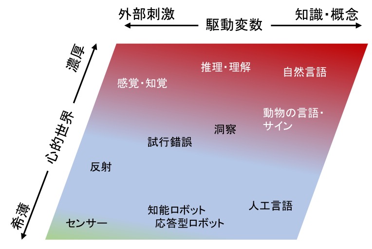 認知活動の範囲